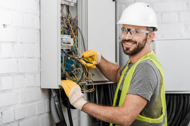Best Electrician Near Me  in Stanton, MI