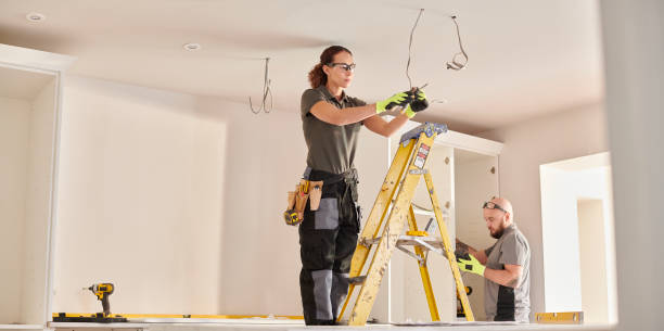 Best Electrical System Inspection  in Stanton, MI