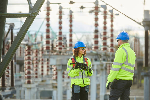 Best Home Electrical Repair  in Stanton, MI