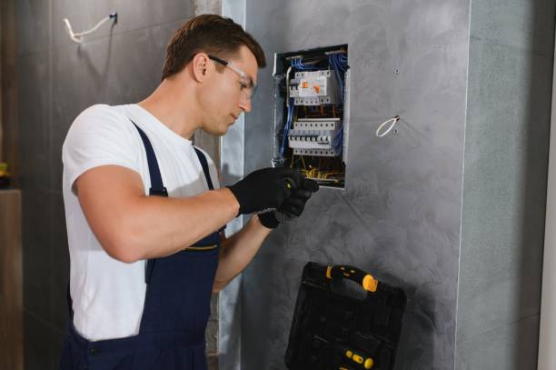 Best Circuit Breaker Repair  in Stanton, MI