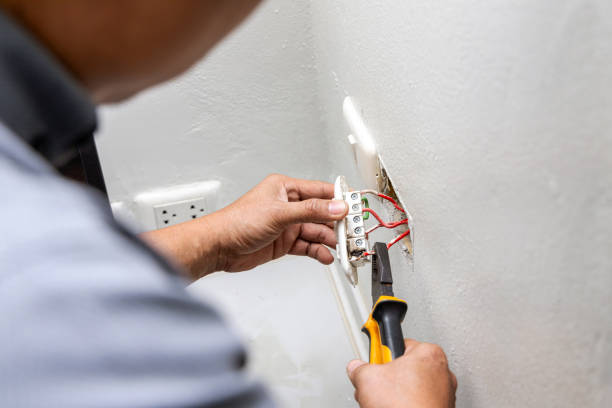 Best Electric Panel Repair  in Stanton, MI