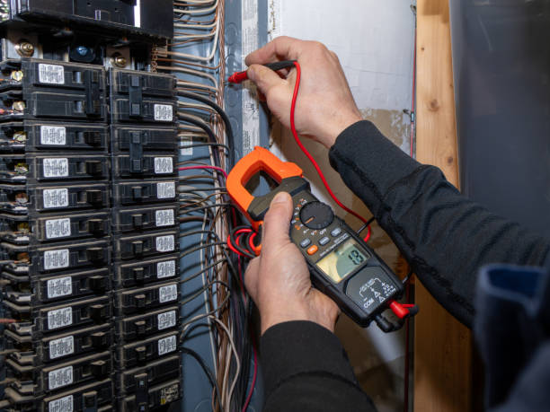 Best Electrical Wiring Services  in Stanton, MI